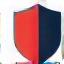 Icon representing risk management services